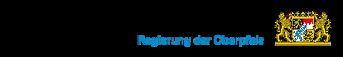 Regensburg. 49 Absolventen wurden nach ihrer Ausbildung in der Hauswirtschaft als staatlich anerkannte Hauswirtschafter ausgezeichnet. Bestleistungen wurden bei der Freisprechungsfeier besonders geehrt.