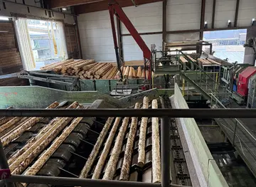Investorenprozess der Ziegler-Group abgeschlossen - 70 Prozent der Arbeitsplätze erhalten