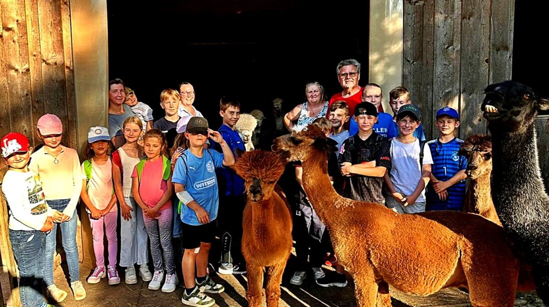 Schirmitz. Bei einer Ferienaktion führten 26 Kinder unter Anleitung Alpakas und Lamas durch den Pirker Wald, woraufhin sie einen "Alpakaführerschein" erhielten.