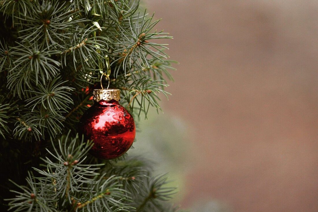 Nordoberpfalz. Ein prachtvoll geschmückter Christbaum ist das Herzstück der Weihnachtszeit. Damit er bis zu den Festtagen frisch bleibt und seine Nadeln behält, bedarf es der richtigen Pflege.