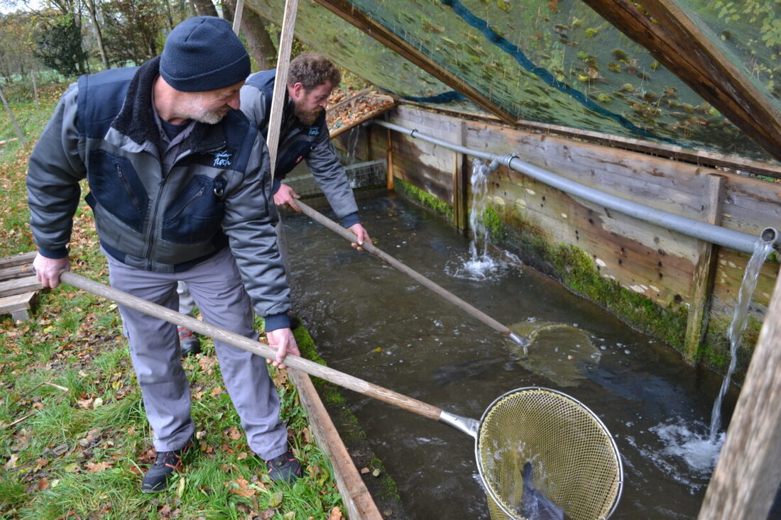 (Advertorial) Ensdorf/Birgland. "Aus der Region für die Region". Unter diesem Motto arbeiten die Direktvermarkter im Landkreis Amberg-Sulzbach. Wir stellen zwei dieser regionalen Unternehmerfamilien vor: die Fischzucht "Vilstaler Fisch" von Stefan Helldörfer und die Mosterei der Familie Heldrich im Birgland.