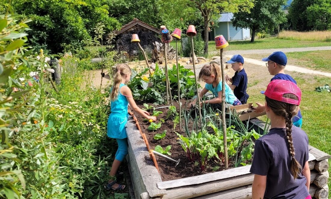 Floß. Wenn von „Aushängeschildern“ im Obst- und Gartenbauverein Floß und Umgebung die Rede ist, dann weiß man in der Zwischenzeit längst, dass damit die Gartenkrähen und die Bahnhofskrähen gemeint sind. Eine Arbeit, die mit beispielhafter Aufopferung von den Leiterinnen der beiden Gruppen an den Tag gelegt wird.