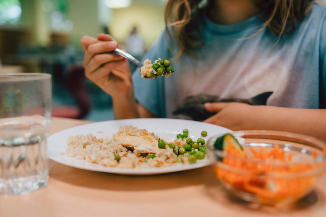 Weiden. Die Gewerkschaft NGG fordert kostenloses Mittagessen für alle Kinder und Jugendlichen im Kreis Neustadt, Weiden und Tirschenreuth, um Chancengleichheit und gesunde Ernährung zu fördern. Rainer Reißelder betont die Wichtigkeit guter Zutaten, fairer Arbeitsbedingungen und appelliert an Bundestagskandidaten der Region,
sich dafür einzusetzen.