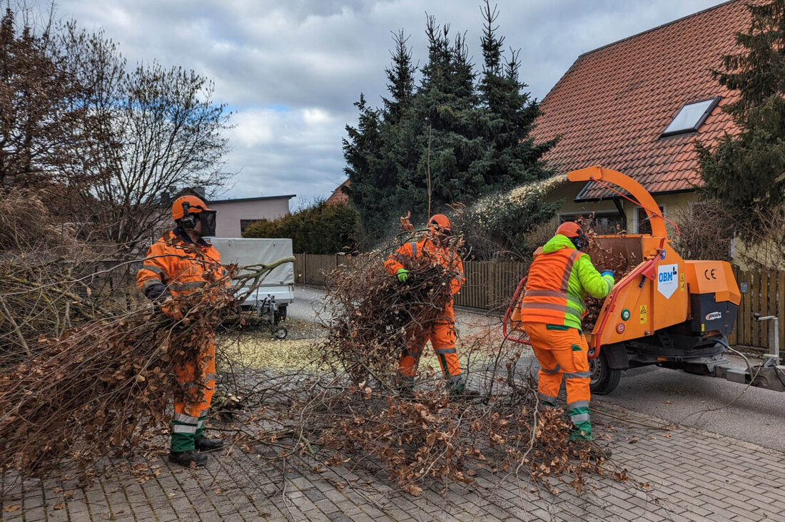 Amberg. Die Stadtgärtnerei bietet vom 24. bis 28. Februar eine Häckselaktion für Äste und Sträucher an, Anmeldungen sind bis 13. Februar möglich. Die Kosten betragen 13 Euro für bis zu 30 Minuten, jede weitere Viertelstunde kostet 10 Euro.