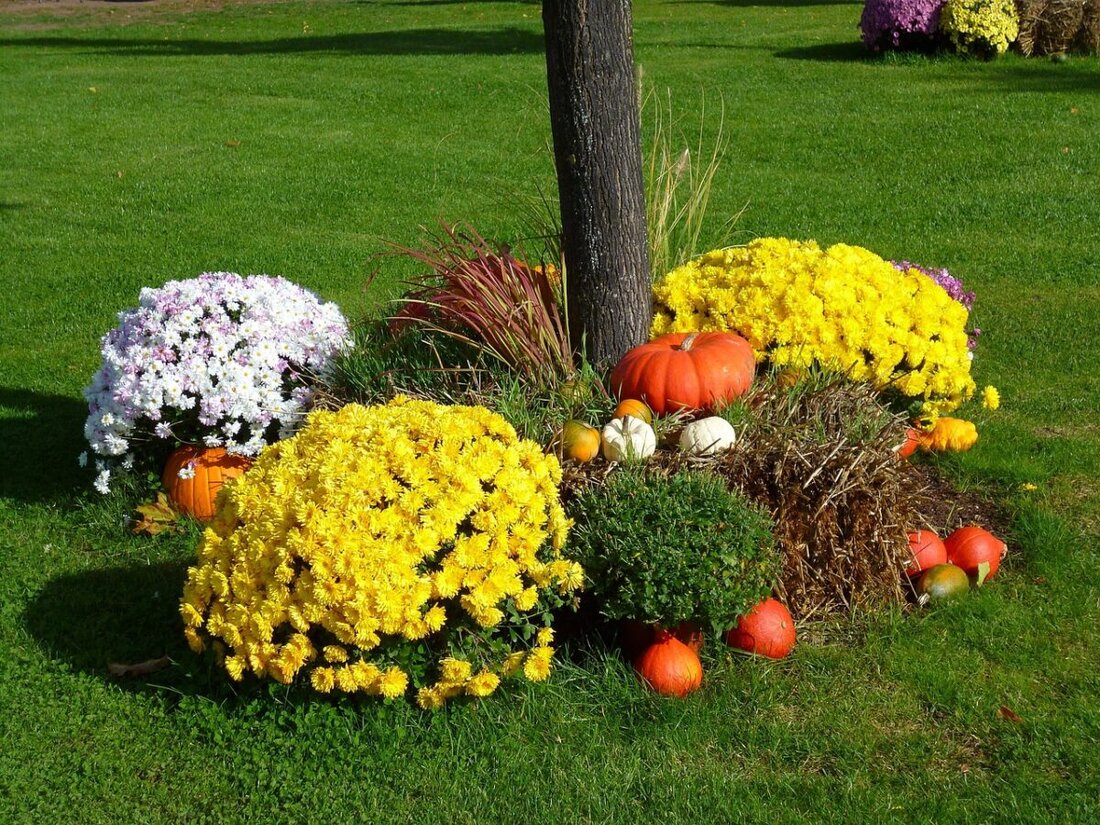 Kemnath. Der Obst- und Gartenbauverein Kemnath organisiert am 23. August 2025 eine Tagesfahrt zur Landesgartenschau in Furth im Wald und zum Hohen Bogen. Die Reise kostet 60 € für Erwachsene, inklusive Busfahrt, Eintritt und Sesselbahn; Anmeldeschluss ist der 10. August 2025.