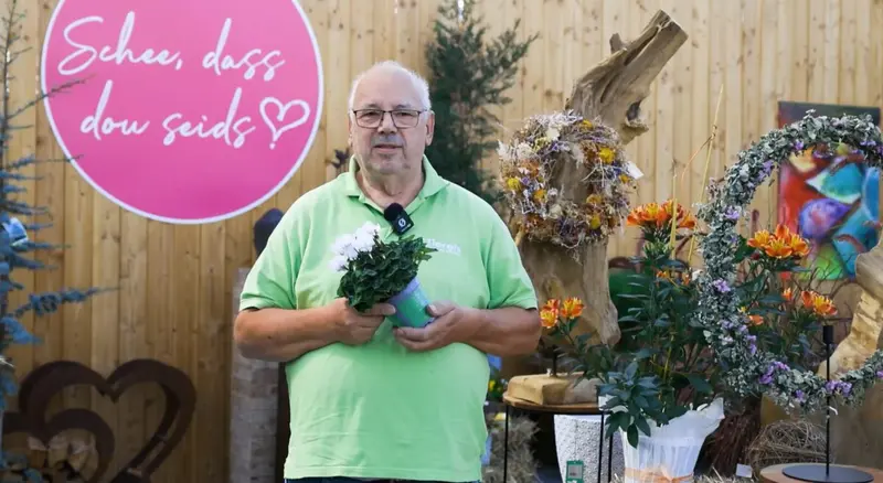 Gärtnerei Ziereis in Schwarzenfeld: Pflanzen, Café und Nachhaltigkeit in der Oberpfalz