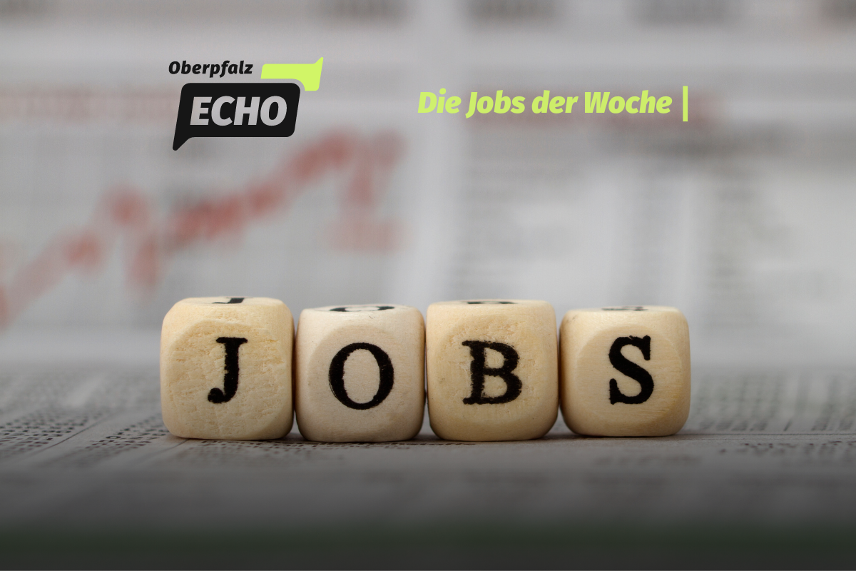Jobs der Woche: Schulleiter, Praktikanten und viele weitere gesucht