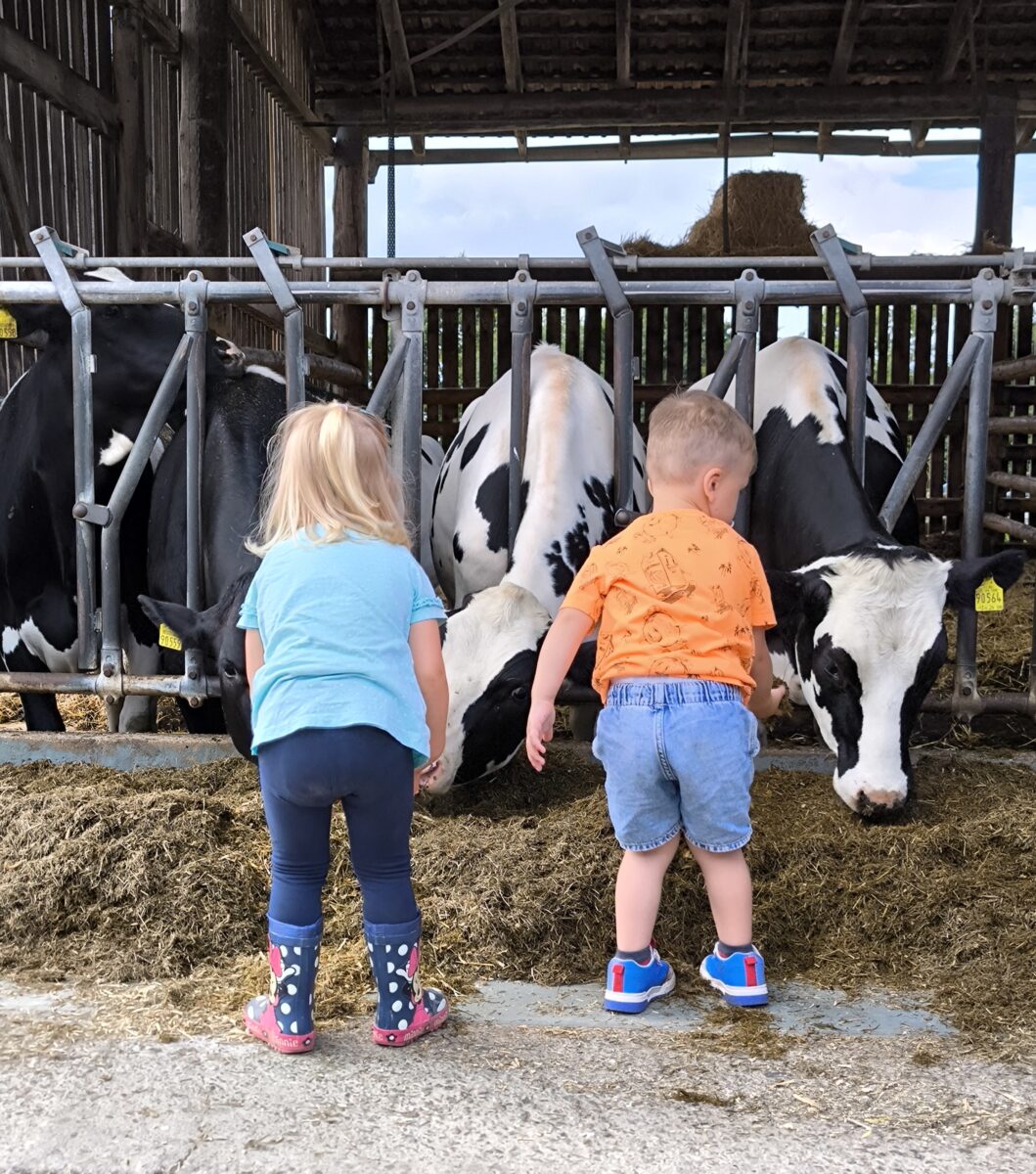 Kinderkrippe „Ulrichshof“ erlebt Landwirtschaft hautnah
