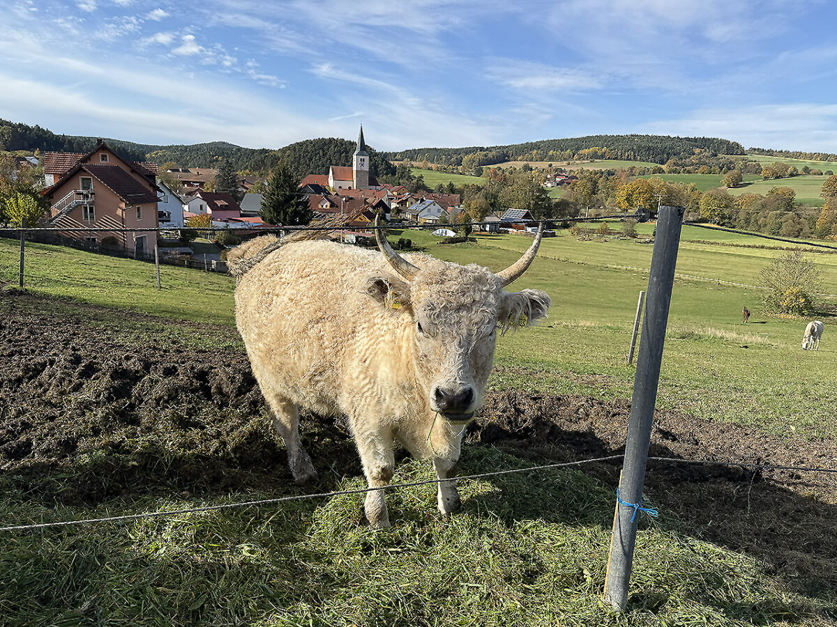 Genussradeln für Wetterfeste (8): Goldener Herbst am Bayerisch-Böhmischen Freundschaftsweg