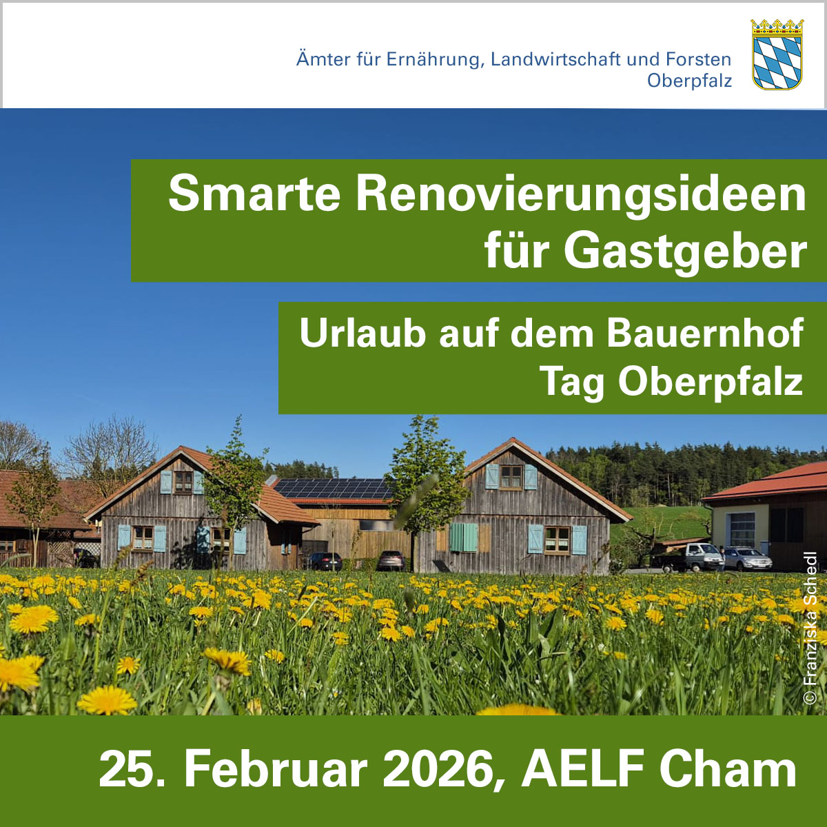 Mehr Wow für wenig Geld: Smarte Renovierungsideen für Gastgeber