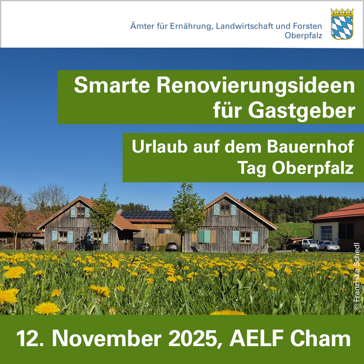 Mehr Wow für wenig Geld: Smarte Renovierungsideen für Gastgeber